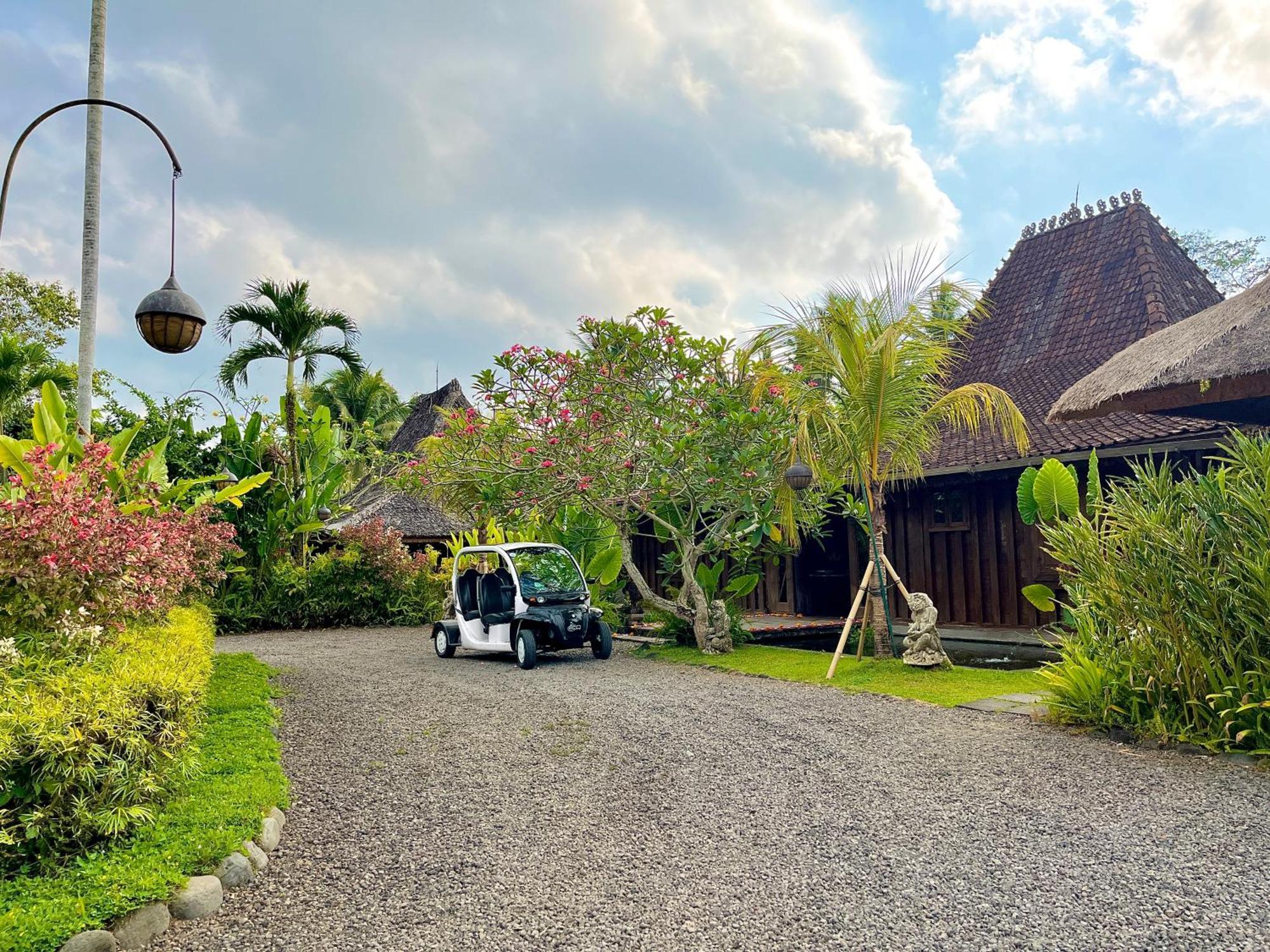 Permata Ayung Private Estate (Adults Only) Βίλα Ουμπούντ Εξωτερικό φωτογραφία